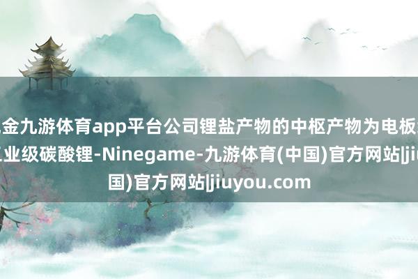 现金九游体育app平台公司锂盐产物的中枢产物为电板级碳酸锂和工业级碳酸锂-Ninegame-九游体育(中国)官方网站|jiuyou.com