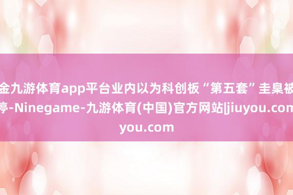 现金九游体育app平台业内以为科创板“第五套”圭臬被暂停-Ninegame-九游体育(中国)官方网站|jiuyou.com