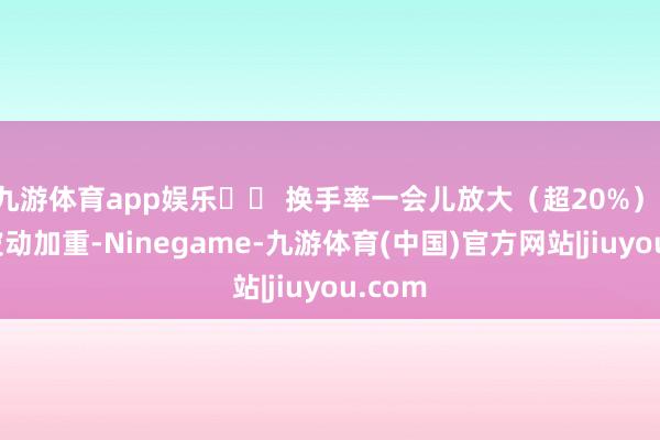 九游体育app娱乐⚠️ 换手率一会儿放大（超20%）：短期波动加重-Ninegame-九游体育(中国)官方网站|jiuyou.com